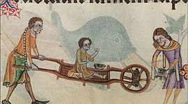 Timeline: Història i Evolució de la Diversitat