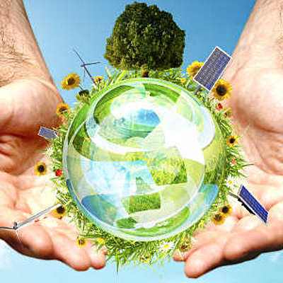 Timeline: Environmental movement