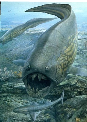 Extinción durante el devoniano