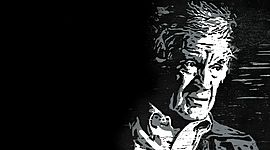 Timeline: Night Timeline