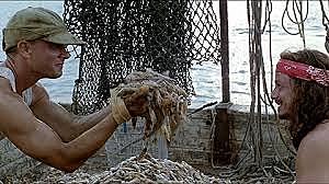 Forrest Survives Hurricane Carmen