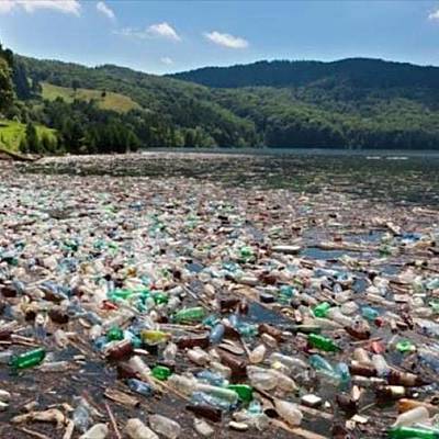 Timeline: EL HOMBRE Y EL MEDIO AMBIENTE