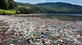 Timeline: EL HOMBRE Y EL MEDIO AMBIENTE