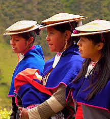 LEY 649 DE 2001 DERECHOS POLÍTICOS DE LOS INDÍGENAS