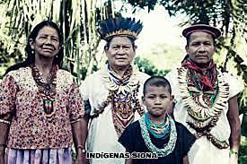 LEY 1381 DE 2010. LEY DE LENGUAS