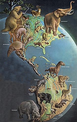 Great American Biotic Interchange