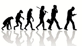 Timeline: L'évolution du vivant