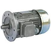 Ηλεκτροκινητήρας