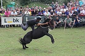 Fiesta del Asturcón (Majada de Espineres, Piloña)
