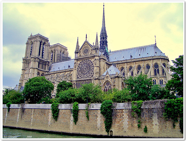 catedral de notre dame