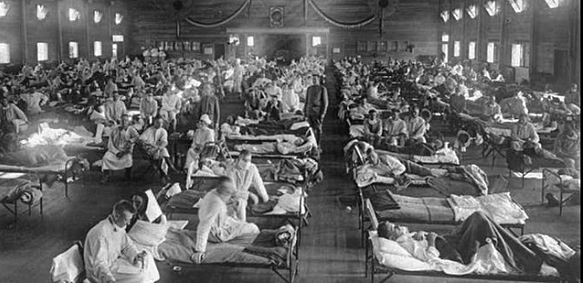 The Spanish Flu
