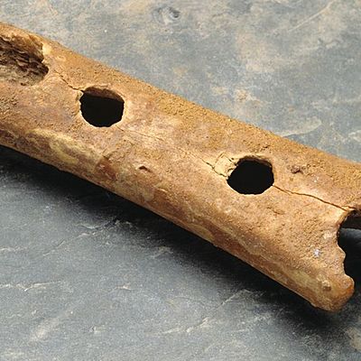 Timeline: Izkopavanje predantičnih najdb na Slovenskem 2