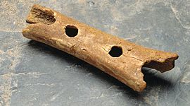 Timeline: Izkopavanje predantičnih najdb na Slovenskem 2