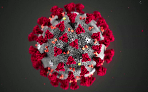 Coronavirus Pandemic