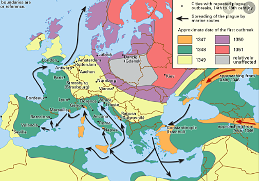 25 million people dead from the Black Death