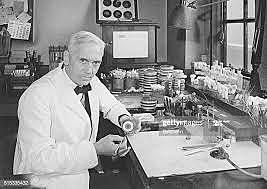 Alexander Fleming Discovers Penicillin