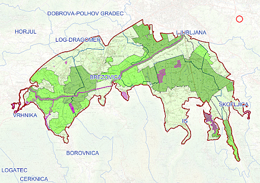 Izkopavanje na Barju - Karl Dežman