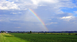 Timeline: The Four Seasons