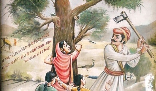 What they where fighting for