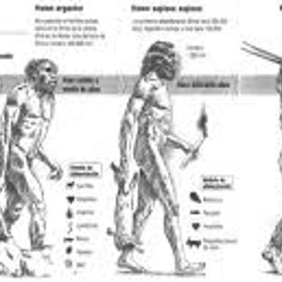 Timeline: Evolución de la alimentación