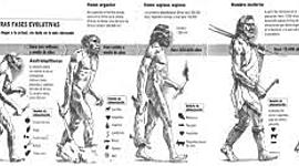 Timeline: Evolución de la alimentación