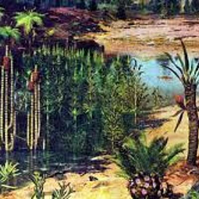 Timeline: evolución geológica