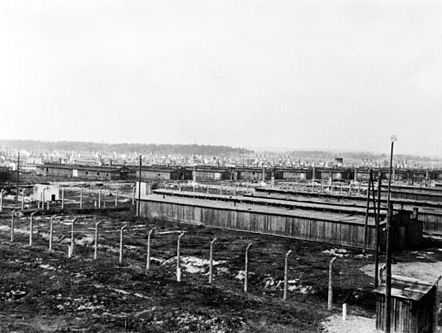 Birkenau