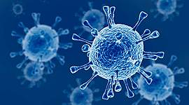 Timeline: Pandemias Globales