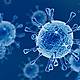 Virus