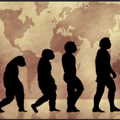 Timeline: Posturas de la evolución