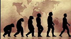 Timeline: Posturas de la evolución