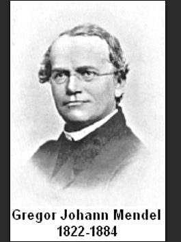 Gregor Joham Mendel