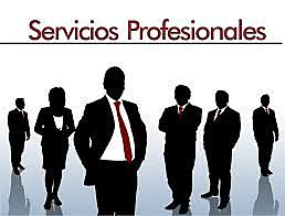 Los servicios profesionales