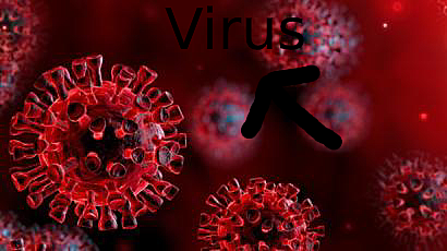 el internet fue infestado por un virus