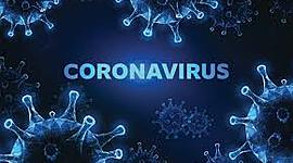 Timeline: CEPAS DEL CORONAVIRUS
