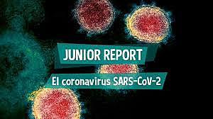 CORONAVIRUS (SRAS)