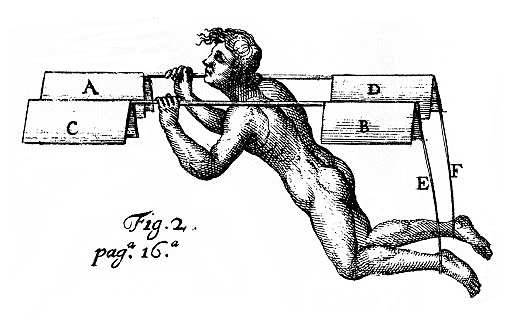 Robert Hooke’s Impact