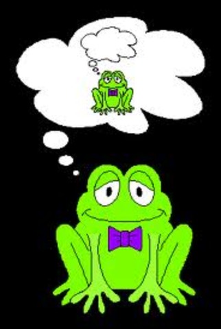 Learning About Metacognition