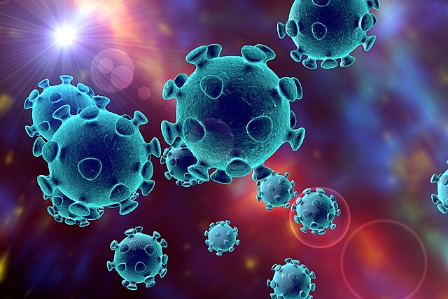 Coronavirus - What is at stake?