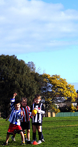 Worldwide sport lockdown