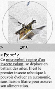 Robofly