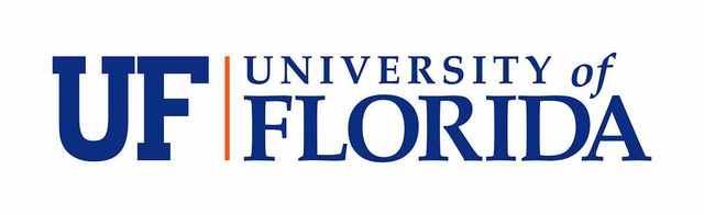University of Florida Art Education Graduate Studies