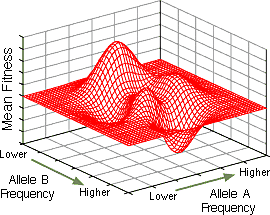 Evolution de la théorie Darwinienne