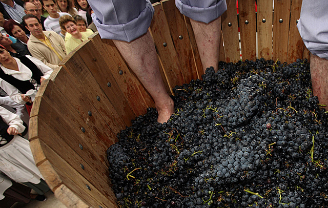 Fiesta de la Vendimia del Vino de Calidad de Cangas (Cangas del Narcea)