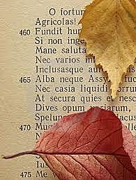 Poesía de la posguerra