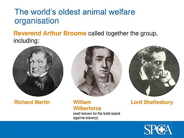 The first Group to Go against animal Cruelty
