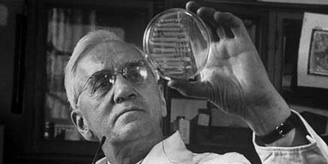 Alexander Fleming Discovers Penicillin