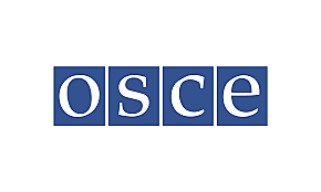 L’organització europea de cooperació econòmica