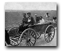 Publicación del decreto sobre la Tierra