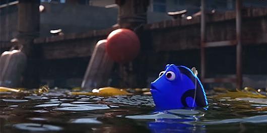 Dory viene catturata